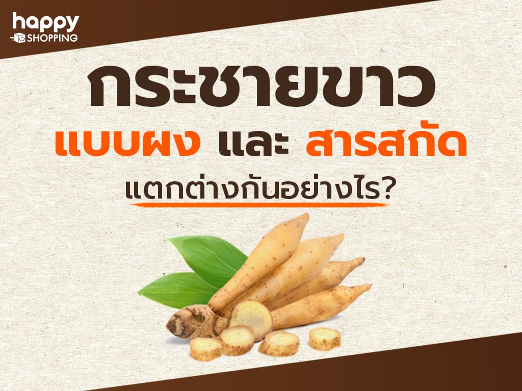 กระชายขาวแบบผง และ กระชายขาวสกัด แตกต่างกันอย่างไร